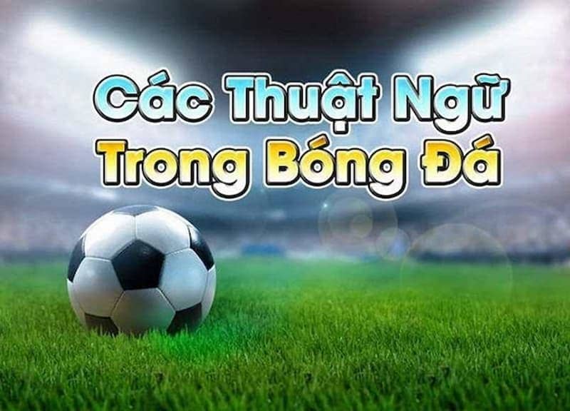 Những thuật ngữ chủ yếu trong cá độ bóng đá